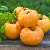 Fresh Seeds USA Tomato Seeds Orange Jazz Open Pollinated Vegetable Gardening - £15.37 GBP