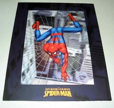 Marvel Comics Spider Sense Spider-Man Wall Hanging w/Cardboard Frame 14&quot; x 11&quot; - £8.61 GBP