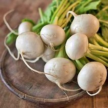 White Egg Turnip Heirloom Seeds Open Pollinated Container Ing Vegetable Seeds Se - $10.53