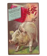 Circa 1890 P.H. Leahy Troy NY trade card pig &amp; firecrackers elevated bus... - €17,15 EUR