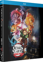 Demon Slayer Kimetsu No Yaiba Mugen Train Arc - $37.61