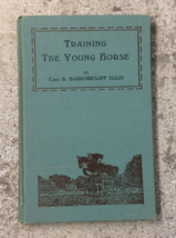 Training The Young Horse 1928 Capt Ellis Photographs Drawings India - £29.42 GBP