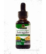 Astragalus Root Extract - Alcohol Free- 30ml by Nature&#39;s Answer - Immune... - $29.32 CAD