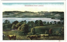 United Kingdom UK Postcard Windemere Fr Lowood Cattle Star Series G D &amp; D London - £1.69 GBP