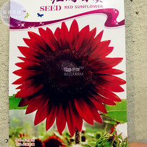 New Fresh Sunflower Dark Red &amp; Fresh Red Flower Seeds 6 Seeds Pack Very Beautifu - $4.72