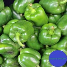 Item image 1 image 1