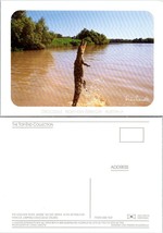 Australia Northern Territory Jumping Crocodiles Adelaide River Vintage Postcard - £7.34 GBP