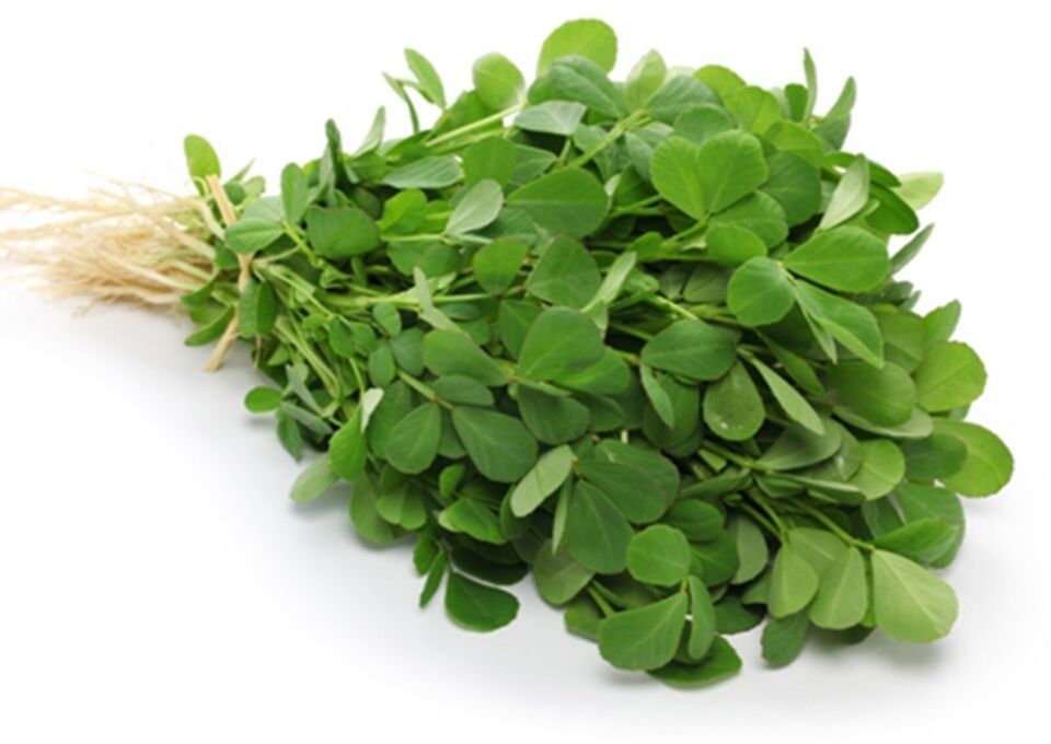 HSeeds 75+ Fenugreek Seeds, Organically Grown - Free S/H - $2.10