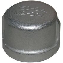 LASCO 32-2959 3/4-Inch Female Pipe Thread Type 304 Stainless Steel Cap - $21.35