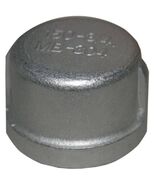LASCO 32-2959 3/4-Inch Female Pipe Thread Type 304 Stainless Steel Cap - $391.64 MXN