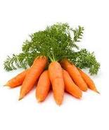 Chantenay Red Core Carrot Seeds, heirloom, NON GMO,vitamin A 300 seeds - £7.91 GBP