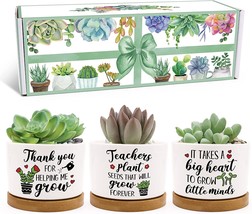 Mini Ceramic Planter Pot With Gift Box (No Plants) Teachers Gift For Wom... - £26.35 GBP