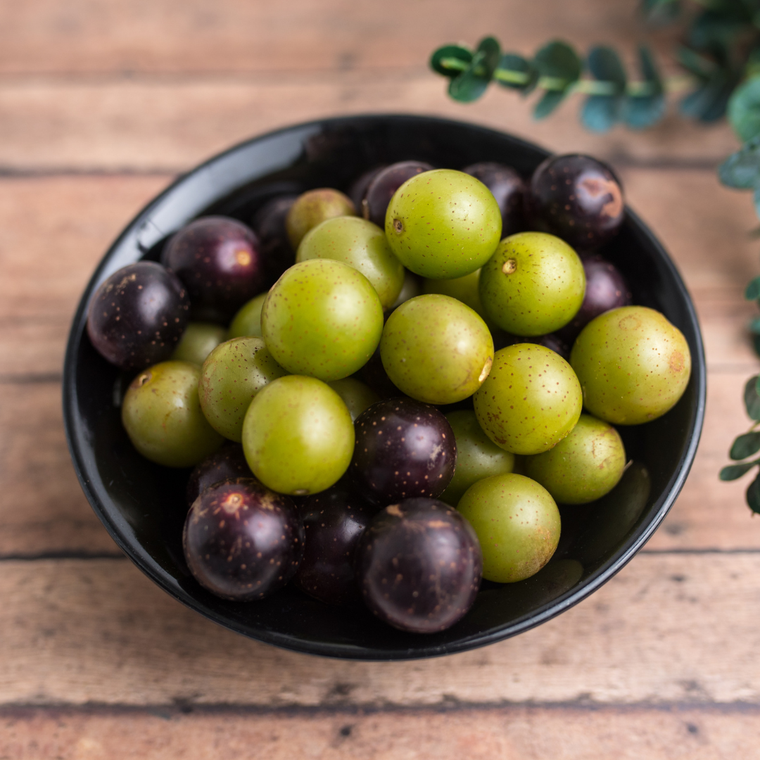 Muscadine Wine Collection - 1 each - Personal Vineyard Collection for Wine!