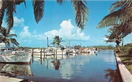 Boynton Spiaggia Florida Mare Mist Marina È Molto Traffico Pois Cartolina 1960s - £8.05 GBP