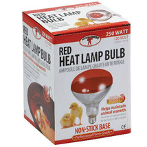 250 Watt Red Bulb For Brooder Lamp - Little Giant Red Heat Lamp Bulb 250... - $18.59