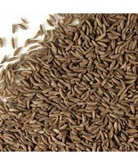 Wholesale!! Caraway Seed Dried Whole-4 oz, 1,2,5 lbs - $9.50 CAD+