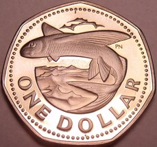 Large Barbados Proof 1973 Dollar~Flying Fish~Seven Sided Coin - £8.29 GBP