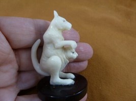 (tb-kang-2) white Mama + baby joey kangaroo Tagua NUT palm figurine Bali... - £31.26 GBP