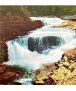 Lower Falls Letchworth State Park Postcard Waterfall New York Gorge c193... - $28.01 CAD