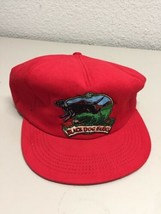 Trucker Cap Cool Hat Industrial Black Dog Farms red - $26.13