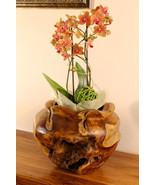 Wood Planter Root Wood Flower Pot Teak Bowl Orchid Pot Decoration - €65,26 EUR