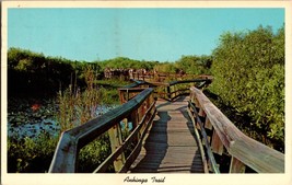 Vintage Postcard - Anhinga Trail - Everglades National Park - Homestead FL (B) - £3.86 GBP