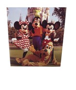 VTG Disney ATA-BOY Disneyland Magic Castle Mickey Minnie Pluto Fridge Ma... - £17.77 GBP