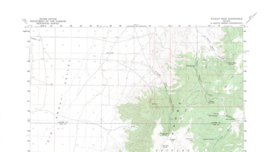 Wildcat Peak Quadrangle Nevada 1960 Topo Map USGS 1:62500 Topographic - £17.23 GBP