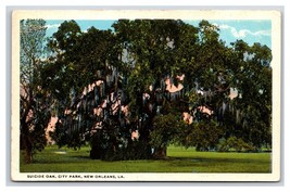 Suicide Oak City Park New Orleans Louiusiana LA UNP WB Postcard E19 - £1.54 GBP