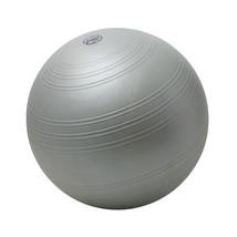55-65 cm ABS Challenge Powerball - $176.91