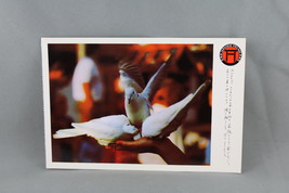 Vintage Postcard - Japanese Village Buena Park Dove Feeding - Continenta... - $20.53 CAD
