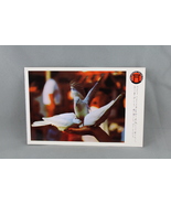 Vintage Postcard - Japanese Village Buena Park Dove Feeding - Continenta... - £11.98 GBP