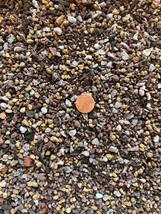 Premium Mixed Small Akadama Bonsai Soil w / Coarse Sand, Maifan Stone &amp; Red Lava - £12.73 GBP+