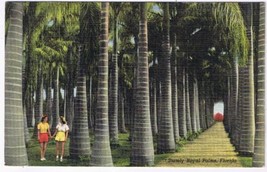 Florida Postcard Vero Beach McKee Jungle Garders Stately Royal Palms  - £2.32 GBP