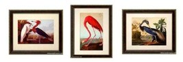 Birds of America, Audubon Vintage Style framed Framed Prints Finest Quality - $114.08