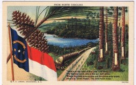 North Carolina Postcard Flag Pine Cone Lake Road - £1.63 GBP