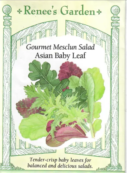 Lettuce Gourmet Salad Asian Baby Leaf Vegetable Seeds Renee&#39;S 12/24 Fresh New - £8.86 GBP