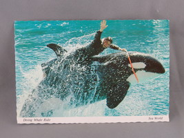 Vintage Postcard - Diving Whale Ride Sea World - Continental Card - £11.85 GBP