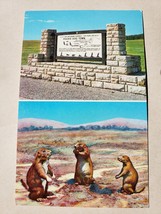 Vintage Postcard - Praire Dog Town Wind Cave National Park - Rushmore News - £11.74 GBP