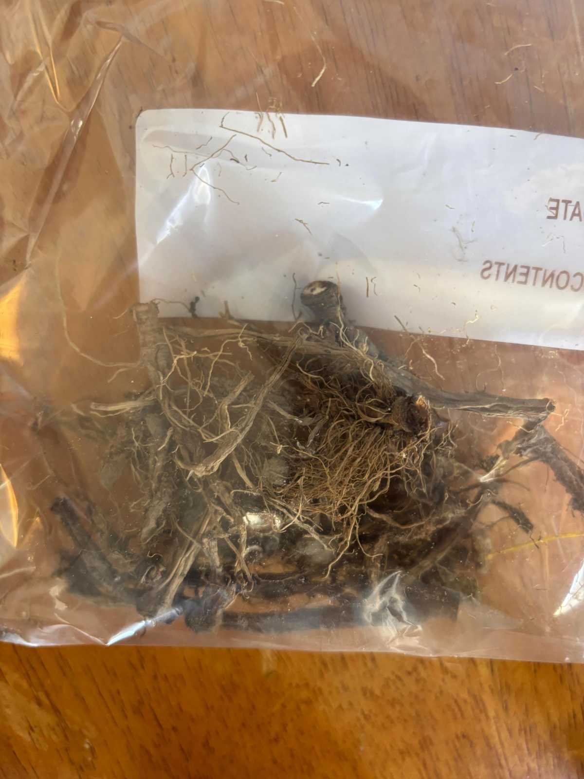 Dandelion Root for Health: Natural Detox, Digestion, and Wellness Suppor... - $1.00