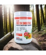 NutritionWorks®10 Day Green Smoothie Nutritious Healthy Weight Managemen... - $466.86 MXN