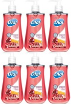 DIA02795 - Dial Pomegranate Antibacterial Hand Soap - 6 Pack - £23.17 GBP