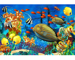 Jigsaw Puzzles for Adults 1000 Pieces, Underwater Fishes  (27.5&quot;X19.6&quot;),... - £16.43 GBP