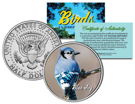 BLUE JAY BIRD JFK Kennedy Half Dollar US Colorized Coin - £6.73 GBP