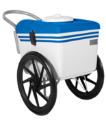 POPSICLES CART PALETA CART MOBILE POPSICLE VENDORS CART PALETA MOBILE CART - $36,703.76 MXN