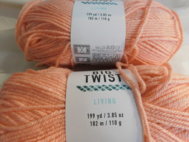 Big Twist Living Peach lot of 2 Dye Lot 195522 - £7.96 GBP