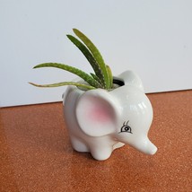 Mini Elephant Planter with Aloe Vera Succulent, Ceramic Animal Pot, Live Plant image 2