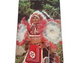 Postcard Chief Henry Cherokee Indian Reservation Cherokee NC Chrome Unpo... - $6.92
