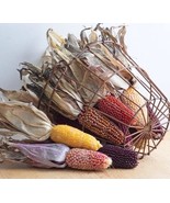 SDC Strawberry Delite Corn Seeds For Planting 25 Seeds Per Seeds Et Fres... - $20.74