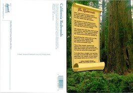 California Northwest Giant Redwood Trees Poem Ferns VTG Postcard - £7.42 GBP